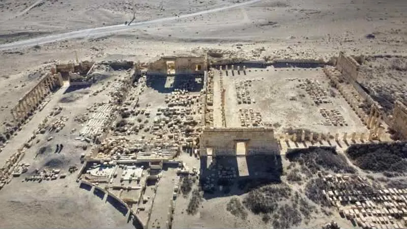 Aerial view of Palmyra